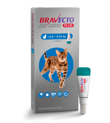 bravecto PLUS gato 2.8-6.25kg