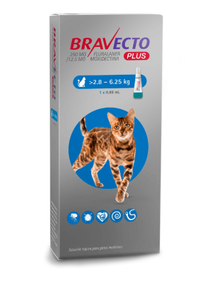 bravecto PLUS gato 2.8-6.25kg