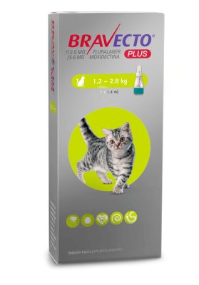 bravecto PLUS gato 1.2-2.8kg