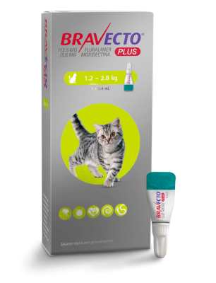 bravecto PLUS gato 1.2-2.8kg