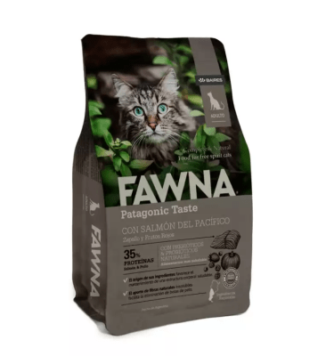 fawna adulto gato