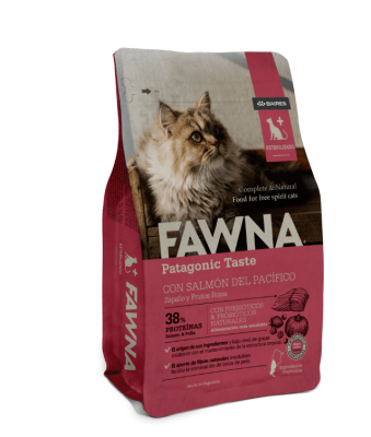 fawna gato esterilizado