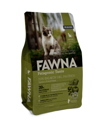 fawna kitten