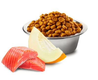 n&d ocean salmon gato castrado