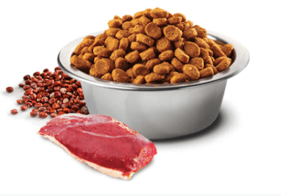 n&d pato quinoa urinary gato