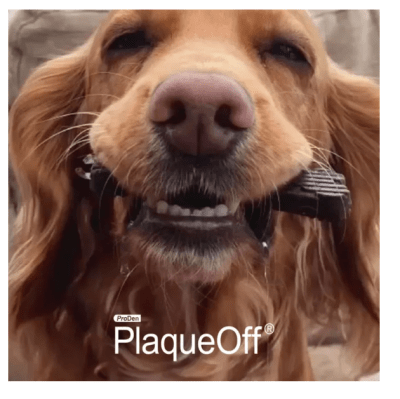 plaqueOff proden dental bones veggie