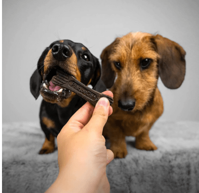 plaqueOff proden mini bones peanut/ banana