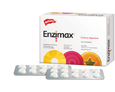 holliday enzimax