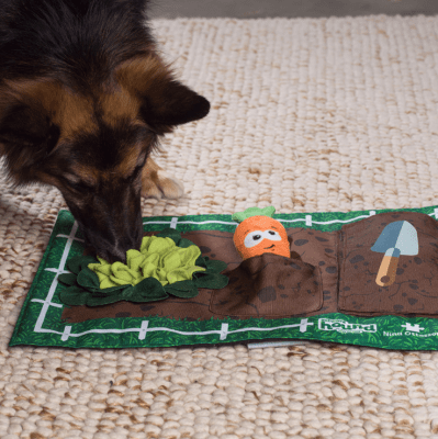 NO mat garden game