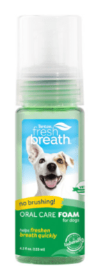 tclean fresh mint foam