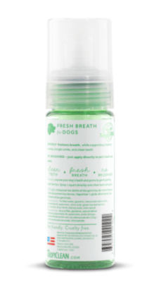 tclean fresh mint foam