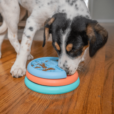 NO comedero lickin layer PUPPY