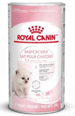 royal canin kitten milk