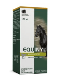 dp equinyl