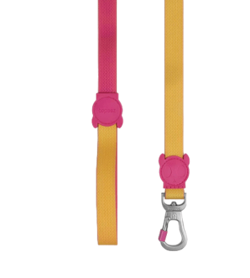 zeedog neopro lyra leash