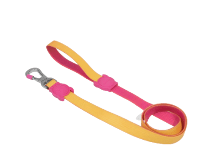 zeedog neopro lyra leash