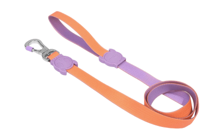 zeedog neopro iris trailla