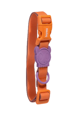 zeedog iris collar