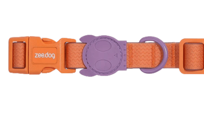 zeedog iris collar