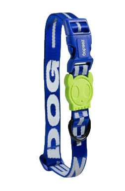 zeedog astro collar