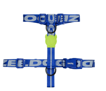 zeedog astro arnes H