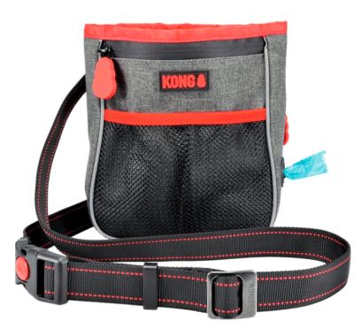 kong hiking bag