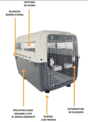 kennel transportadora