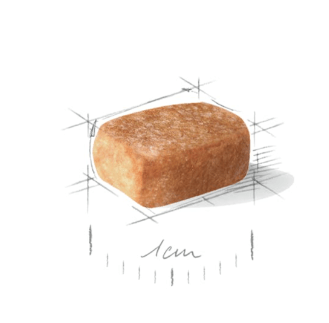 royal canin chihuahua junior