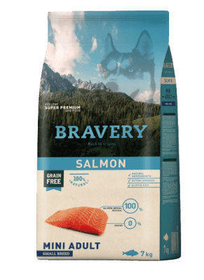 bravery salmon adulto small breed