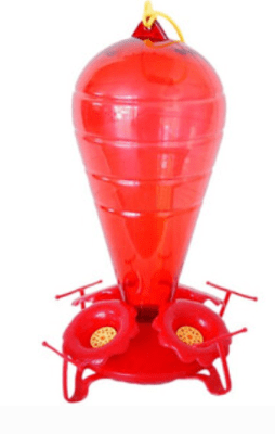 mp bebedero de colibri