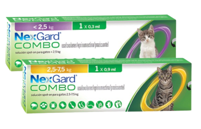 nexgard combo gato