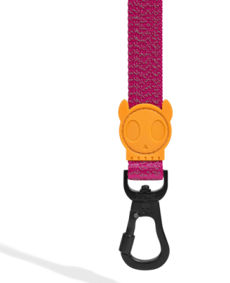 zeedog nox sidus trailla