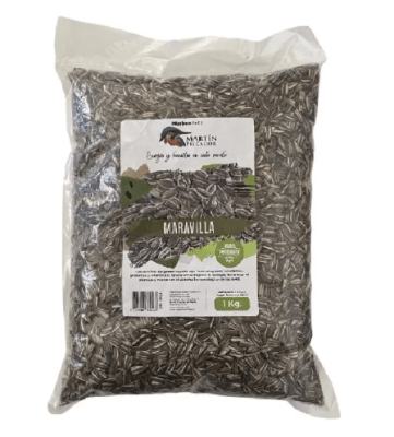 martin pescador maravilla