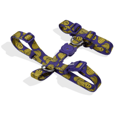 zeedog zmiley arnes H