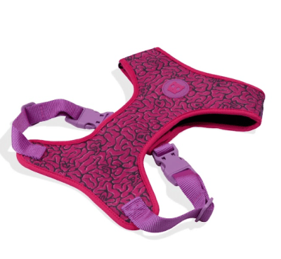 zeedog brain arnes mesh