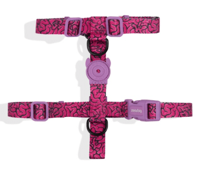 zeedog brain arnes H