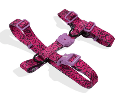 zeedog brain arnes H