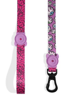 zeedog brain trailla