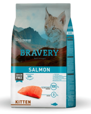 bravery salmon kitten