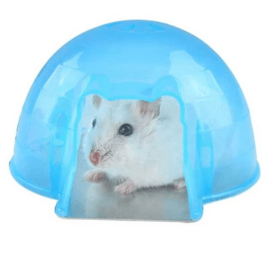 mp iglu pequeñas mascotas