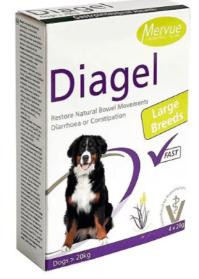 mervue pets diagel dog