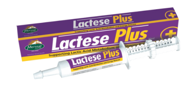 mervue lactase plus