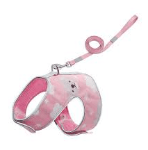 wonder cat arnes gato