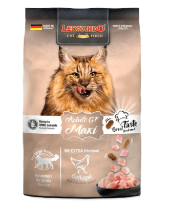 Leonardo adulto GF maxi