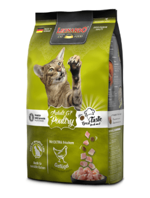 leonardo adulto GF pollo