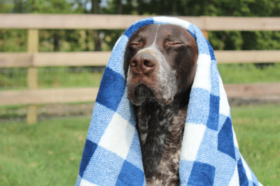 tall tails manta polar navy hunter