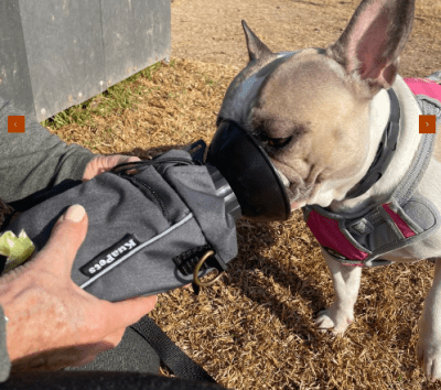 KuaPets bolso porta botella