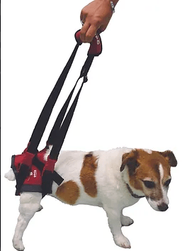 alzador posterior perro