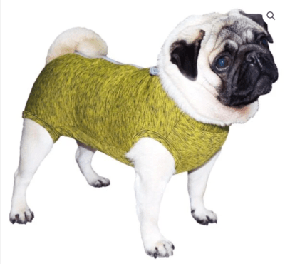 body postqx pug