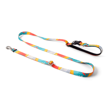 cachorre trailla running